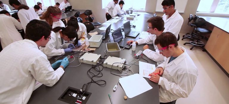 Dentist Practice Loans – Call 904-551-6090:  Schulich Medicine & Dentistry – Bachelor of Medical Sciences Profile