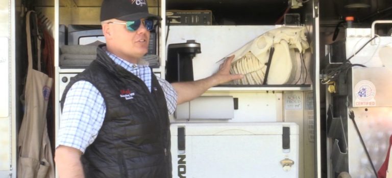 Dental Practice Financing For Dentists – Call BRT: 904-551-6090:  Equine Dentistry – Handy Horseman Tips by M & M Horsemanship