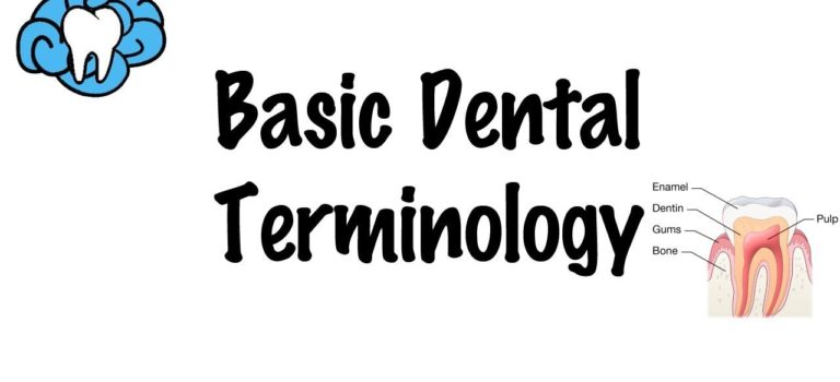 Dental Practice Financing For Dentists – Call BRT: 904-551-6090:  Basic Dental Terminology