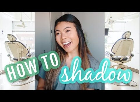 Dental Practice Financing For Dentists – Call BRT: 904-551-6090:  How to Shadow Dentists – Q&A // LauraSmiles