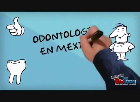 Dental Practice Financing For Dentists – Call BRT: 904-551-6090:  Canine Dental News Clip from WCSC-TV