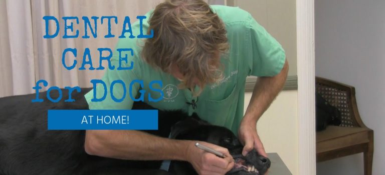 Dental Practice Financing For Dentists – Call BRT: 904-551-6090:  Say No To Dental Implants, New Cosmetic Smile Makeovers by Bil!